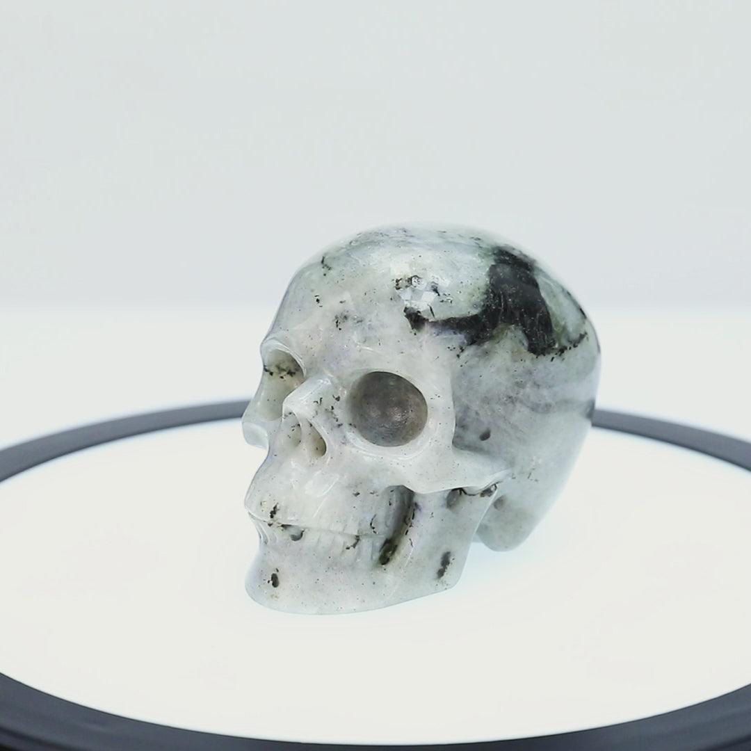 Crysthall Natural Labradorite Skull — Magic & Transformation Crystal